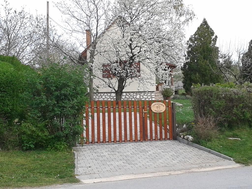 Cseresznyevirag Vendeghazak Kovagoszolos 客房 照片